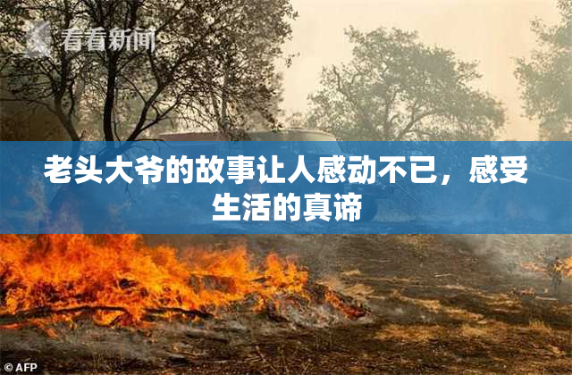 老头大爷的故事让人感动不已，感受生活的真谛