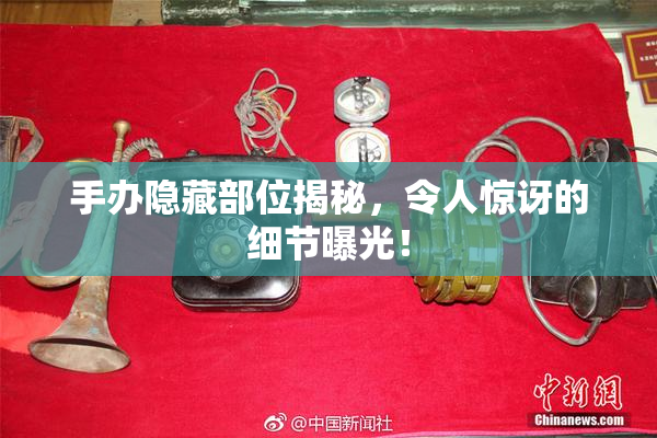 手办隐藏部位揭秘，令人惊讶的细节曝光！