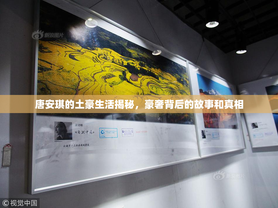 唐安琪的土豪生活揭秘，豪奢背后的故事和真相