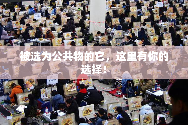 被选为公共物的它，这里有你的选择！