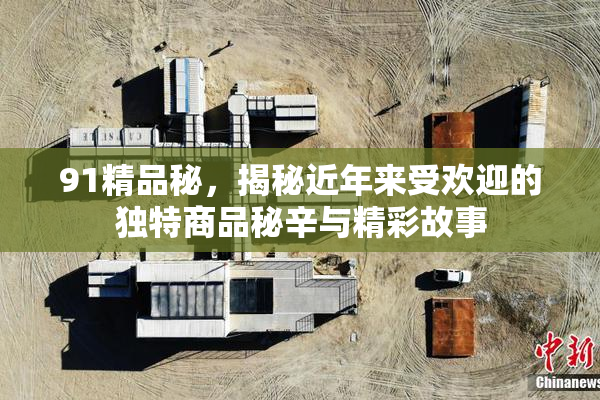 91精品秘，揭秘近年来受欢迎的独特商品秘辛与精彩故事