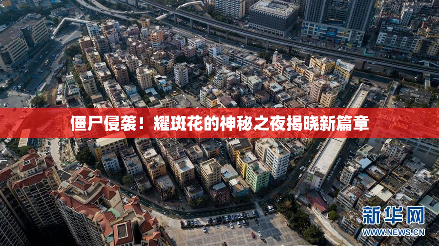 僵尸侵袭！耀斑花的神秘之夜揭晓新篇章
