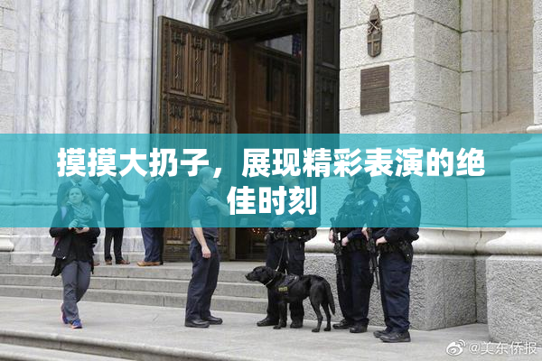 摸摸大扔子，展现精彩表演的绝佳时刻