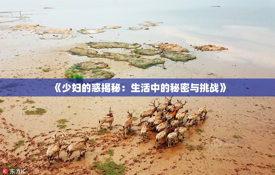 《少妇的惑揭秘：生活中的秘密与挑战》