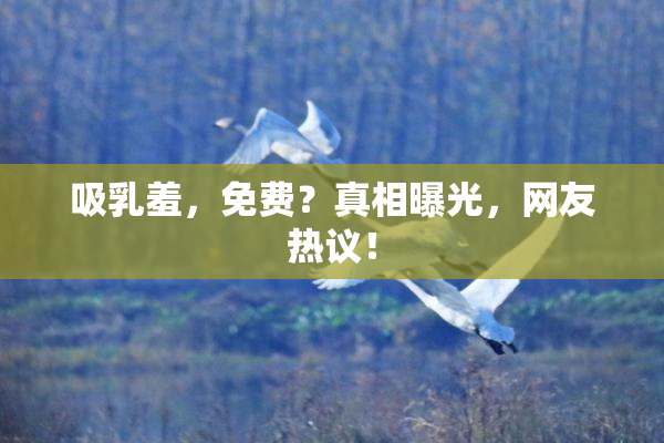 吸乳羞，免费？真相曝光，网友热议！