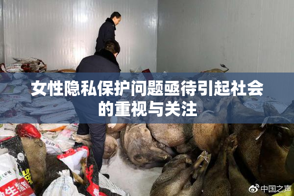 女性隐私保护问题亟待引起社会的重视与关注