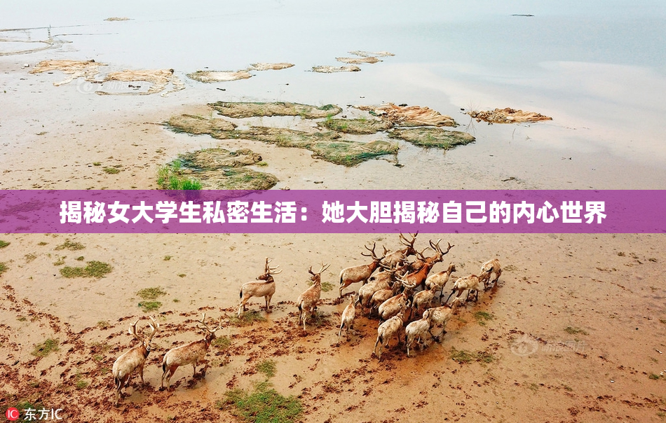 揭秘女大学生私密生活：她大胆揭秘自己的内心世界
