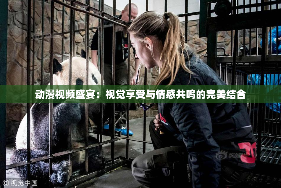 动漫视频盛宴：视觉享受与情感共鸣的完美结合