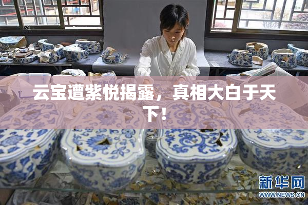 云宝遭紫悦揭露，真相大白于天下！