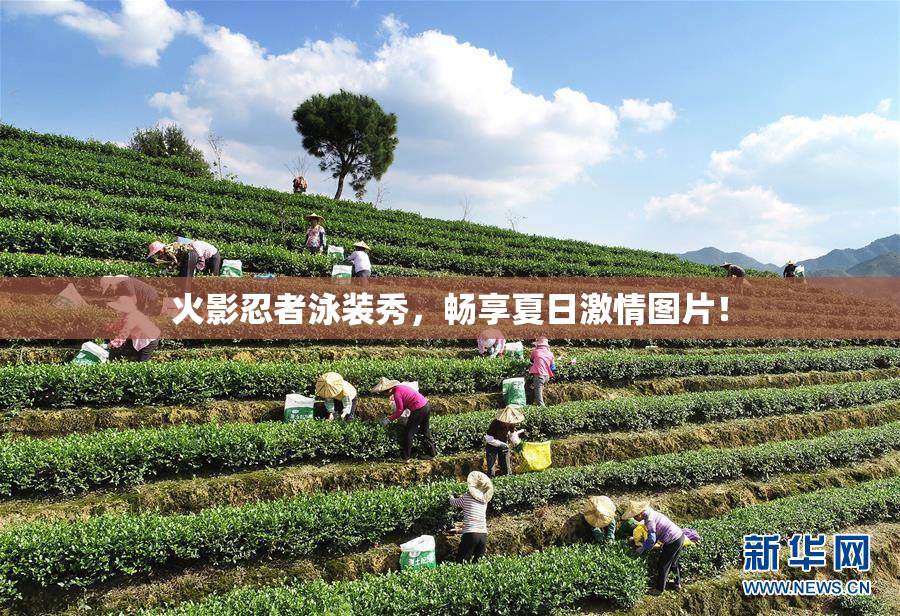 火影忍者泳装秀，畅享夏日激情图片！