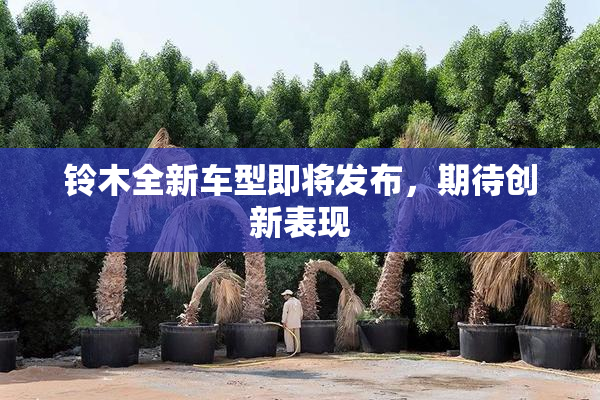 铃木全新车型即将发布，期待创新表现