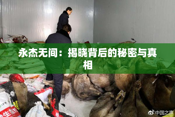 永杰无间：揭晓背后的秘密与真相