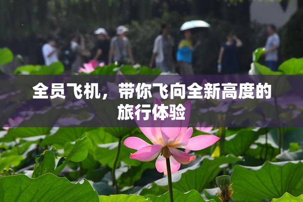 全员飞机，带你飞向全新高度的旅行体验