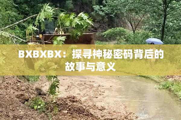 BXBXBX：探寻神秘密码背后的故事与意义