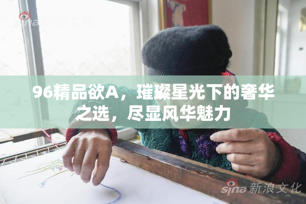 96精品欲A，璀璨星光下的奢华之选，尽显风华魅力