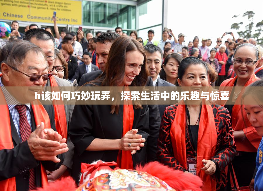 h该如何巧妙玩弄，探索生活中的乐趣与惊喜