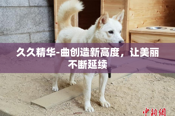 久久精华-曲创造新高度，让美丽不断延续