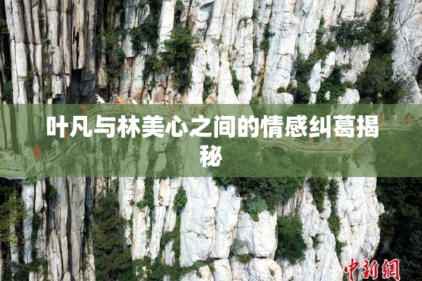 叶凡与林美心之间的情感纠葛揭秘