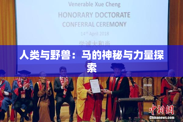 人类与野兽：马的神秘与力量探索