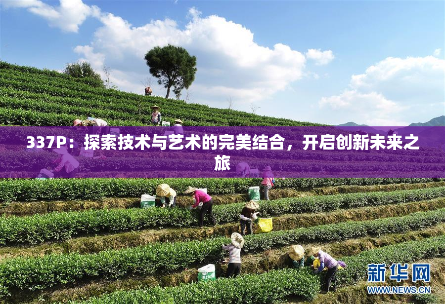 337P：探索技术与艺术的完美结合，开启创新未来之旅