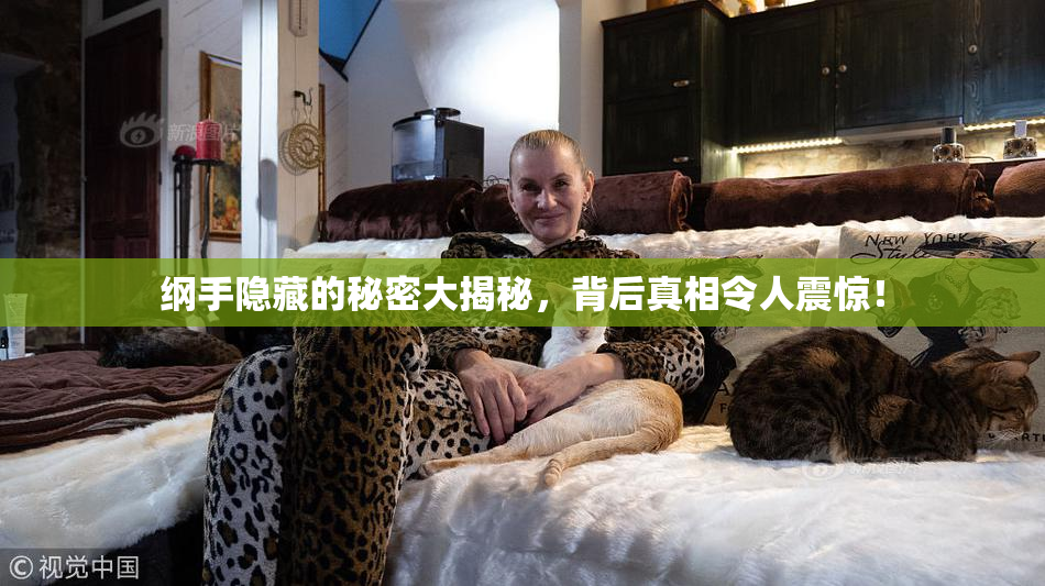 纲手隐藏的秘密大揭秘，背后真相令人震惊！