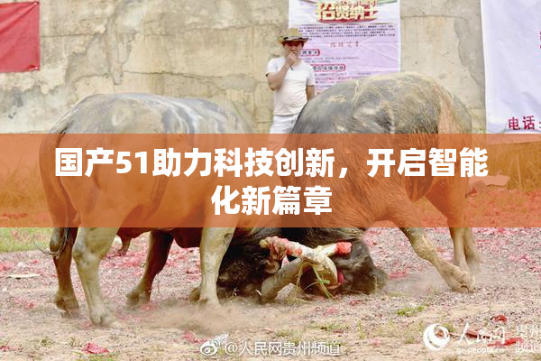 国产51助力科技创新，开启智能化新篇章