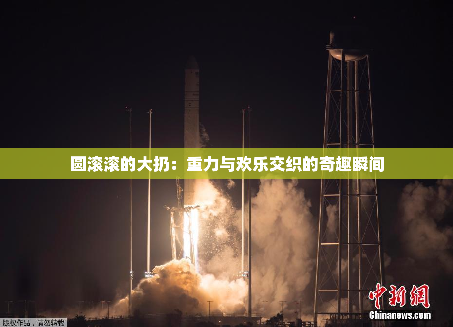 圆滚滚的大扔：重力与欢乐交织的奇趣瞬间