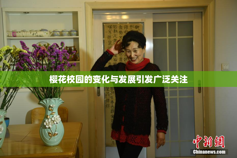 樱花校园的变化与发展引发广泛关注