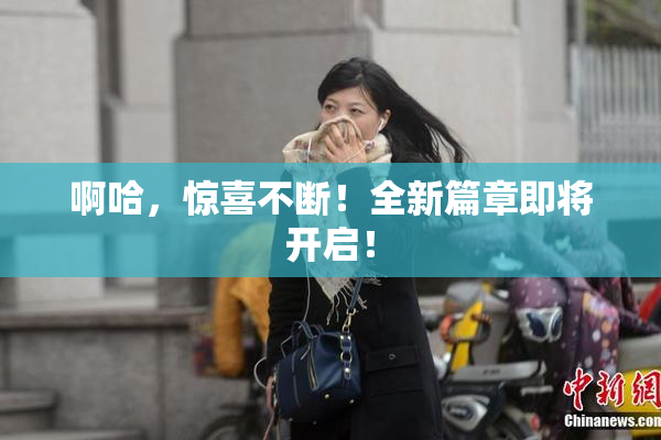 啊哈，惊喜不断！全新篇章即将开启！