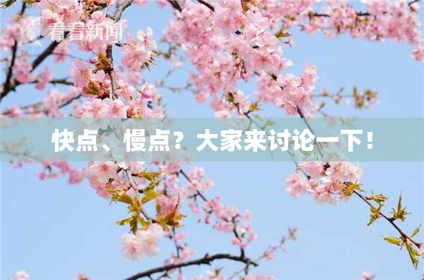 快点、慢点？大家来讨论一下！