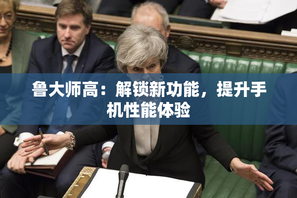 鲁大师高：解锁新功能，提升手机性能体验