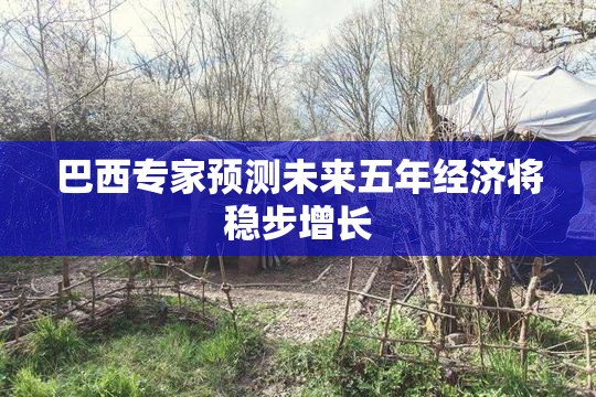 巴西专家预测未来五年经济将稳步增长