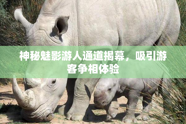 神秘魅影游人通道揭幕，吸引游客争相体验