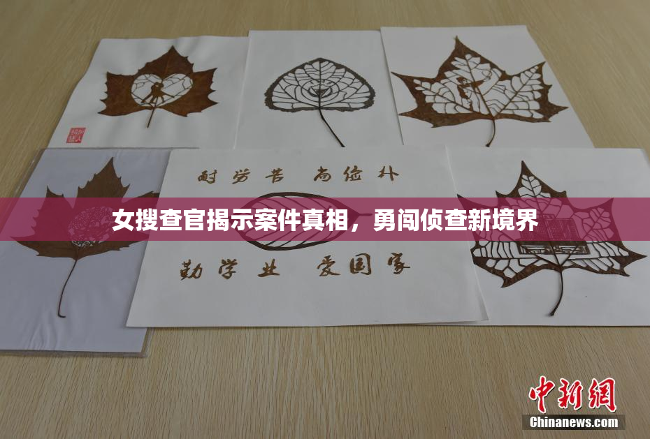女搜查官揭示案件真相，勇闯侦查新境界