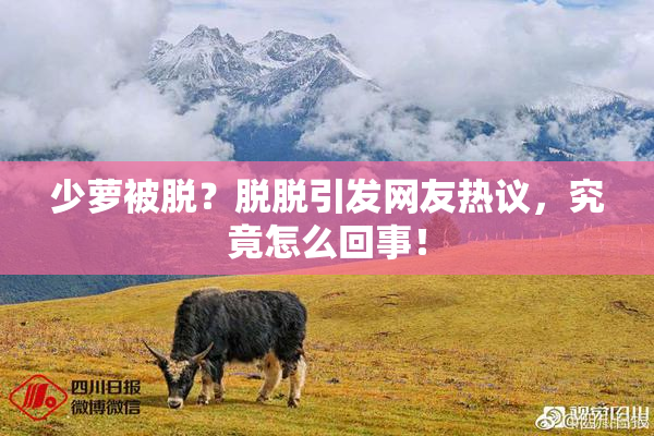 少萝被脱？脱脱引发网友热议，究竟怎么回事！
