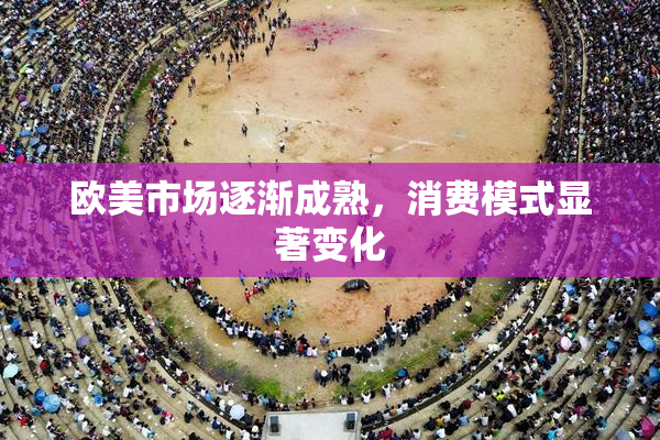欧美市场逐渐成熟，消费模式显著变化