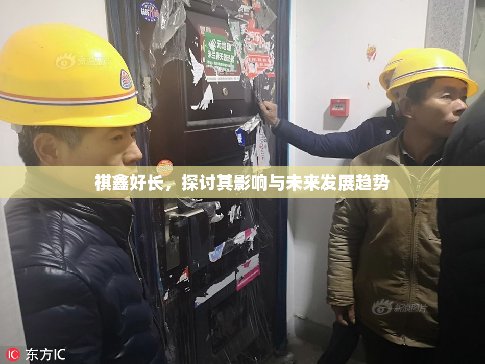 祺鑫好长，探讨其影响与未来发展趋势
