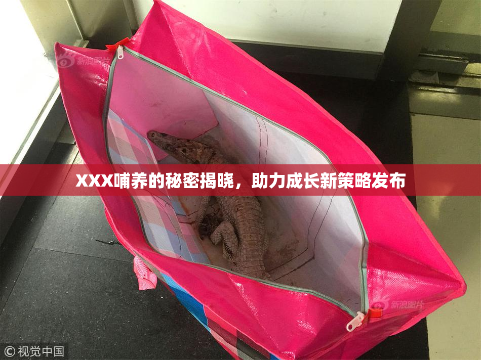 XXX哺养的秘密揭晓，助力成长新策略发布