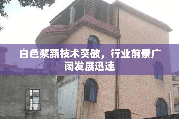 白色浆新技术突破，行业前景广阔发展迅速