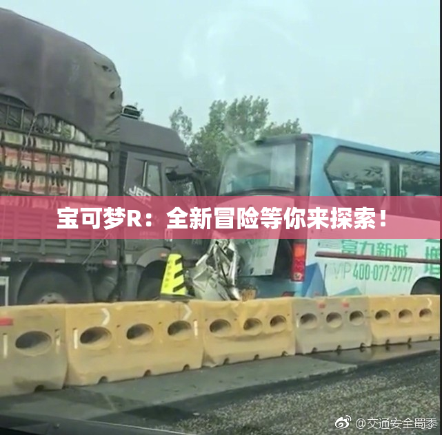 宝可梦R：全新冒险等你来探索！