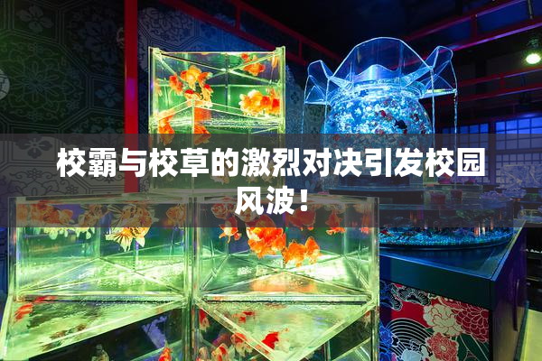 校霸与校草的激烈对决引发校园风波！