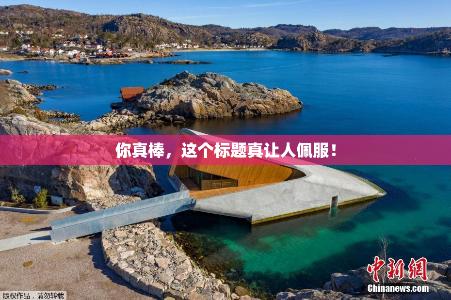 你真棒，这个标题真让人佩服！