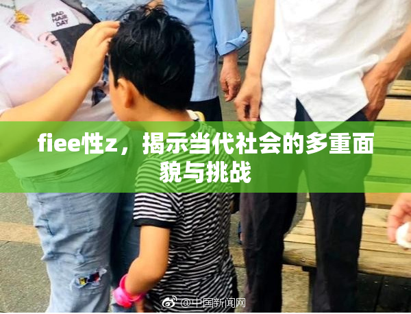 fiee性z，揭示当代社会的多重面貌与挑战