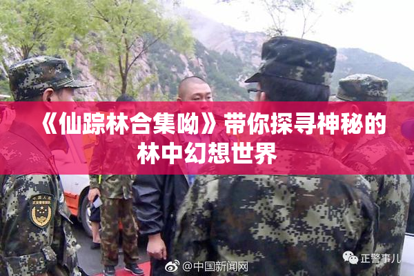 《仙踪林合集呦》带你探寻神秘的林中幻想世界