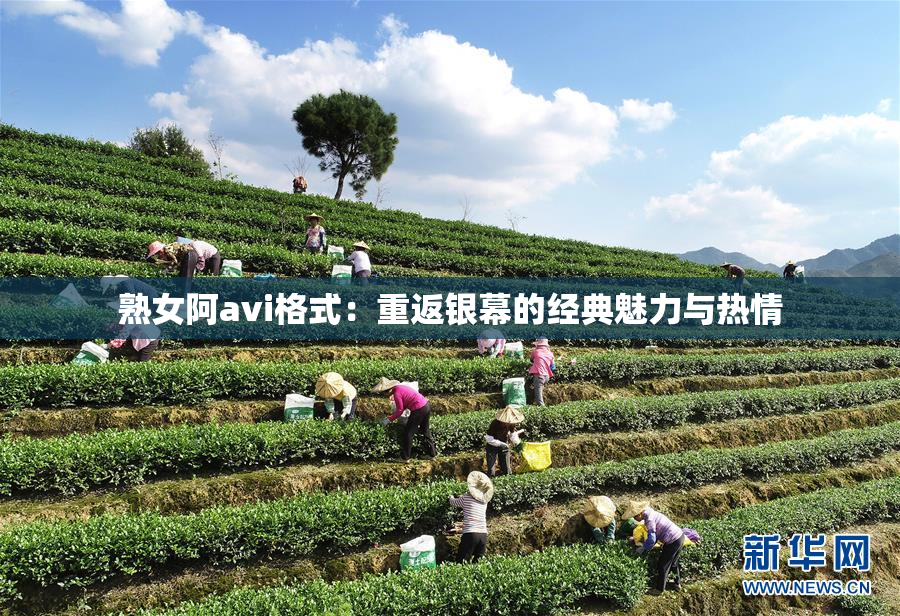 熟女阿avi格式：重返银幕的经典魅力与热情