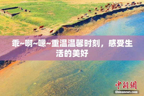 乖~啊~嗯~重温温馨时刻，感受生活的美好
