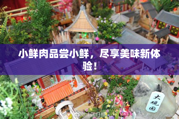 小鲜肉品尝小鲜，尽享美味新体验！