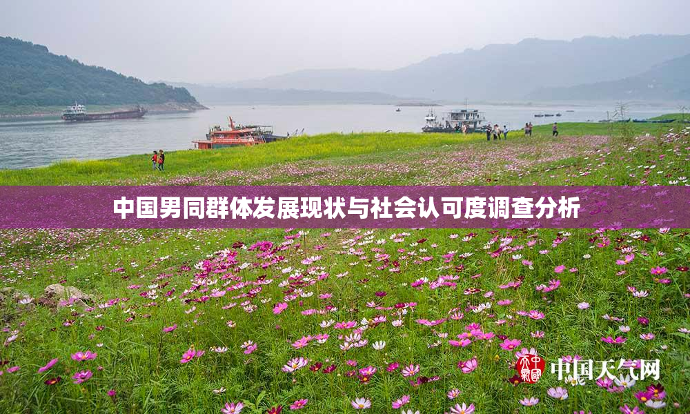 中国男同群体发展现状与社会认可度调查分析