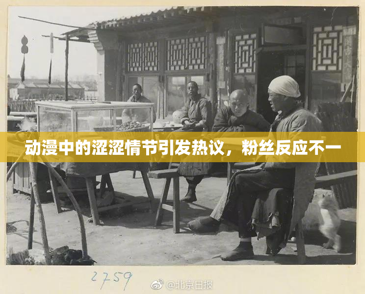 动漫中的涩涩情节引发热议，粉丝反应不一