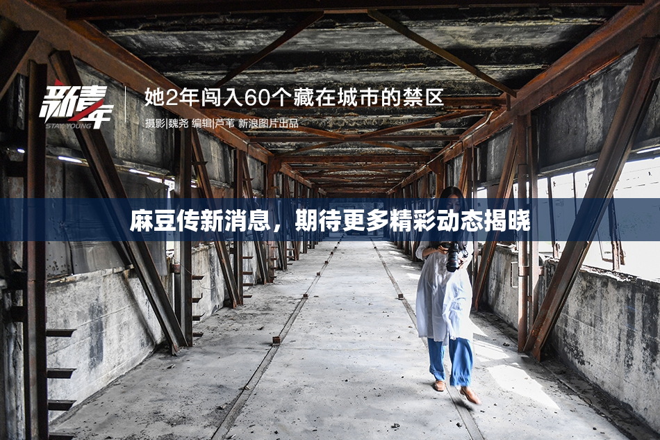 麻豆传新消息，期待更多精彩动态揭晓